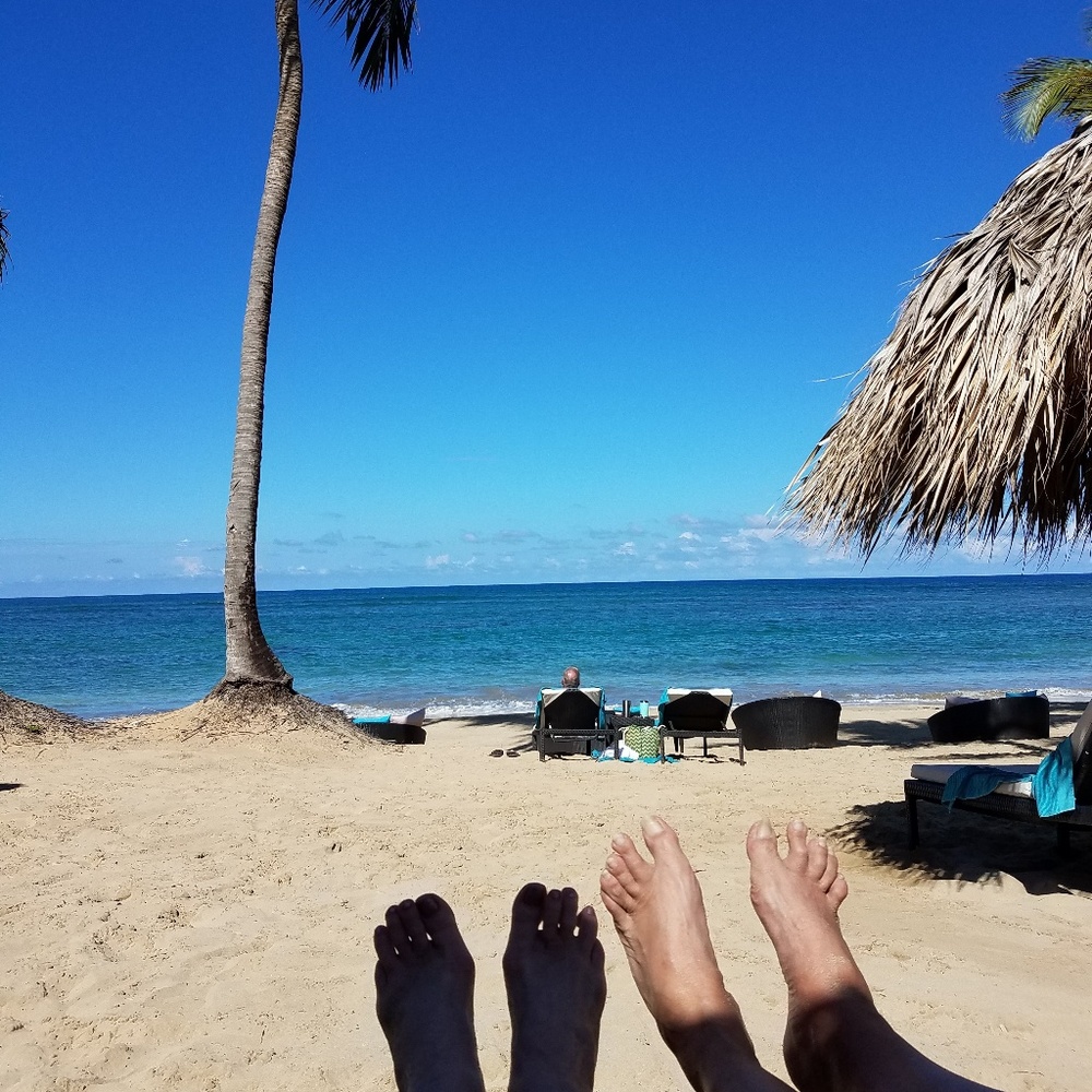 Meet your Posher, Bernadette